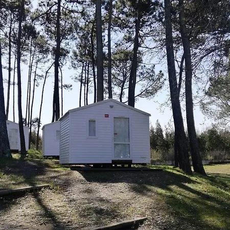 Kemp Parque De Campismo Orbitur Foz De Arelho. Foz do Arelho
