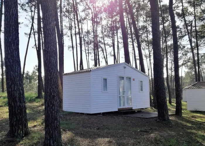 Parque De Campismo Orbitur Foz De Arelho. * 福斯·杜·阿勒奥