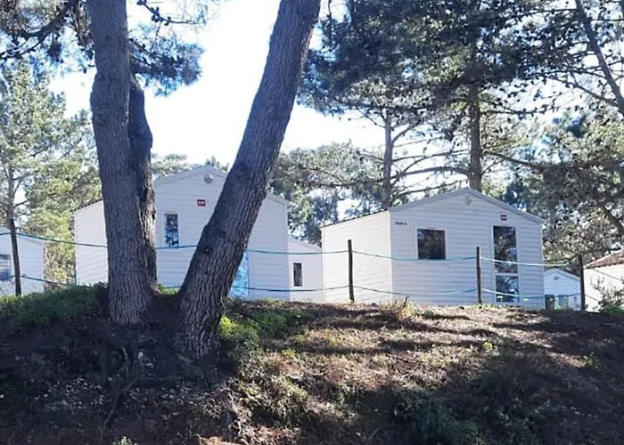 营地 Parque De Campismo Orbitur Foz De Arelho. 福斯·杜·阿勒奥