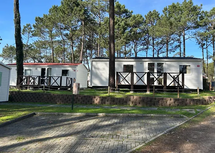 Parque De Campismo Orbitur Foz De Arelho. * 福斯·杜·阿勒奥