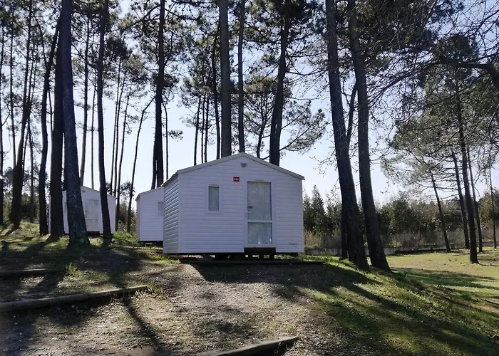营地 Parque De Campismo Orbitur Foz De Arelho. 福斯·杜·阿勒奥