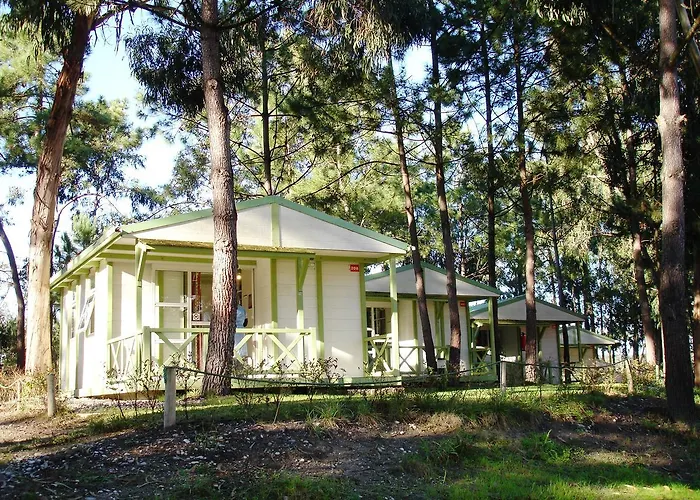 Parque De Campismo Orbitur Foz De Arelho. * 福斯·杜·阿勒奥